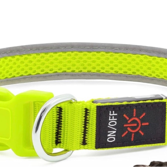Lighted Dog Collar 3 Settings / USB Charging - Picture 3 of 9